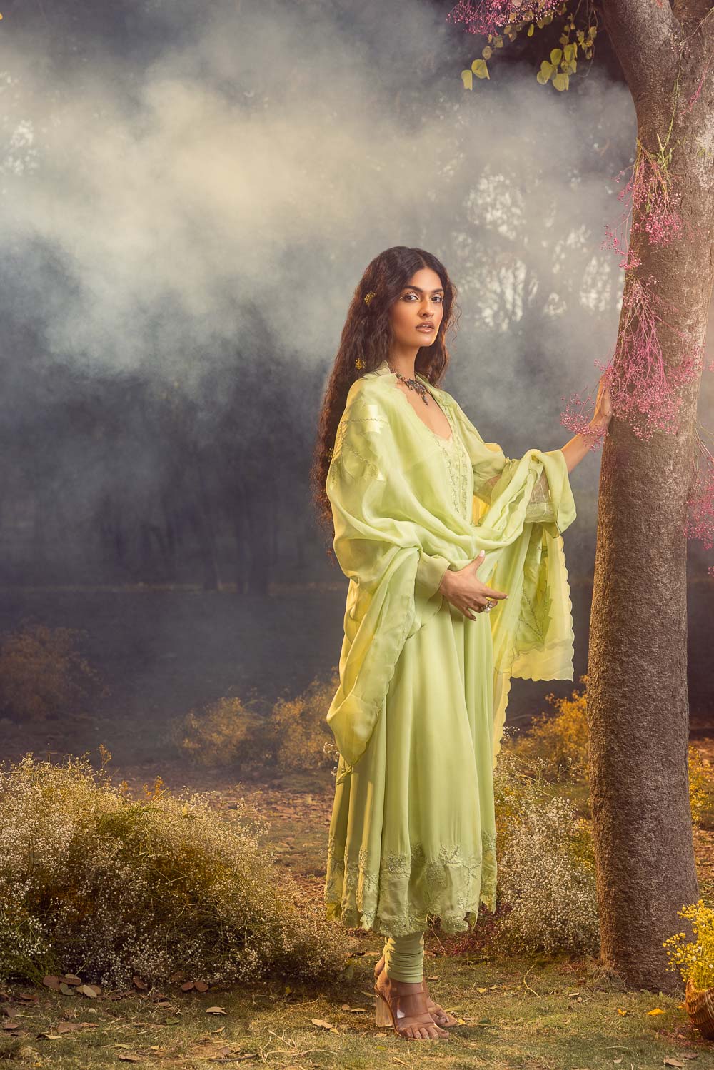 Soft Green Pure Georgette Anarkali Set with Structured Organza Dupatta