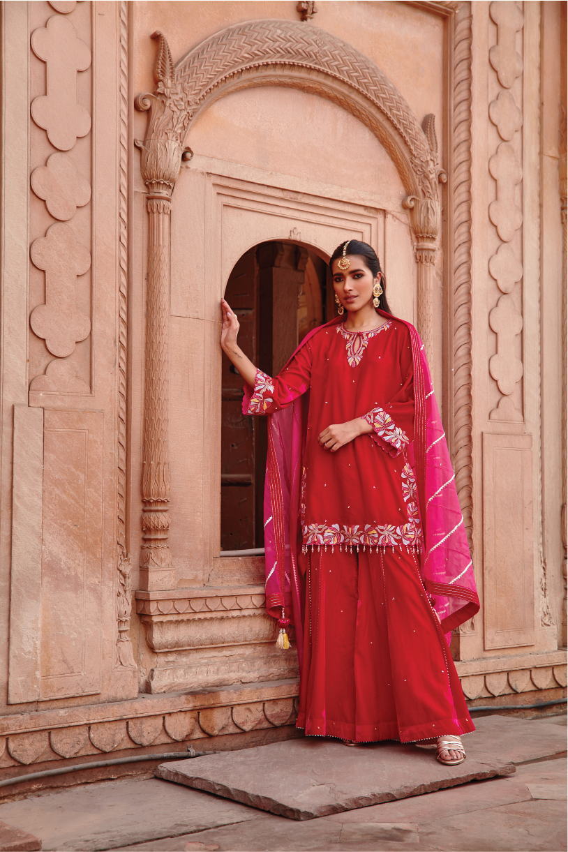 Shazia Rani Pink Velvet Kurta Garara Set With Organza Dupatta