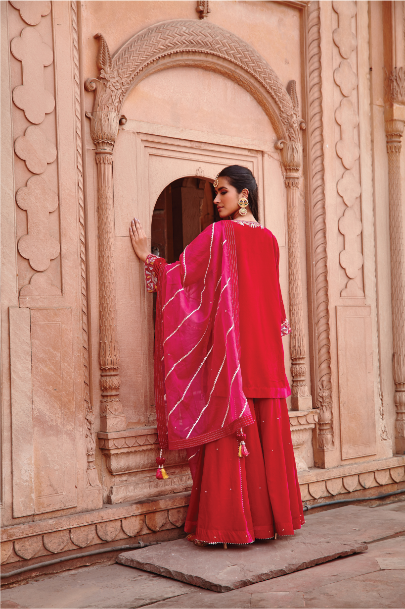 Shazia Rani Pink Velvet Kurta Garara Set With Organza Dupatta