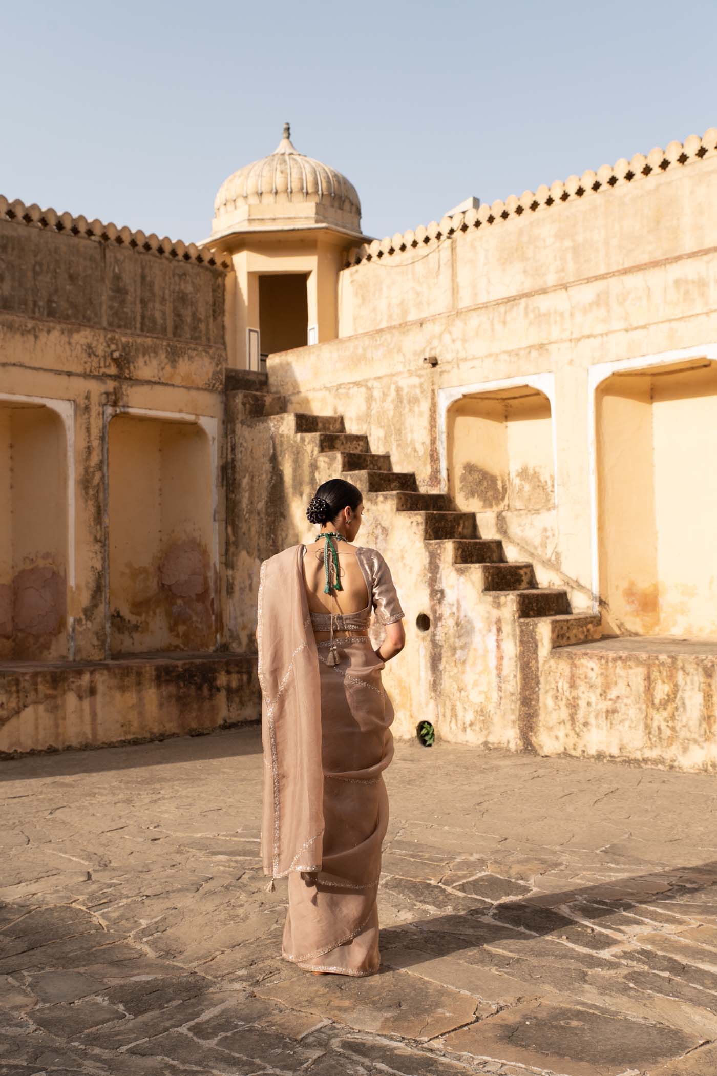 Sand-Beige Hand-Embroidered Pure Silk-Organza Saree With Pure Brocade Blouse Set