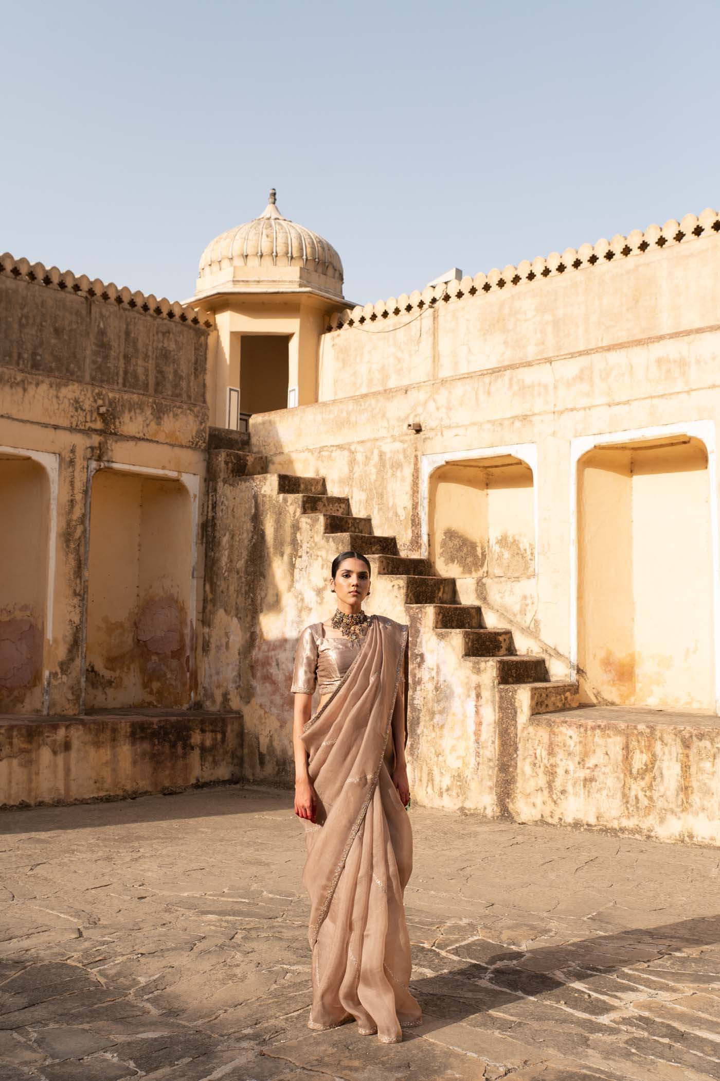 Sand-Beige Hand-Embroidered Pure Silk-Organza Saree With Pure Brocade Blouse Set