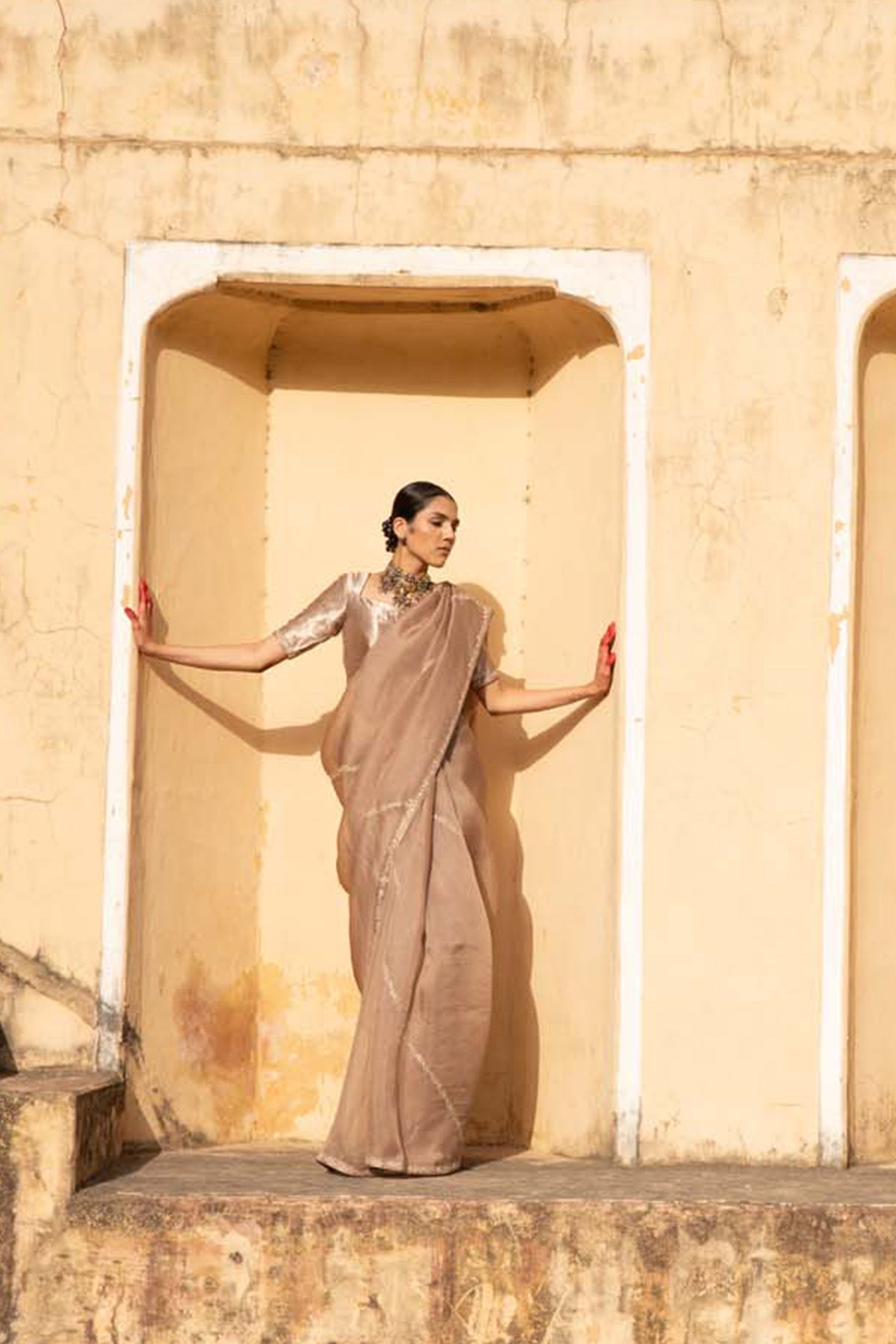Sand-Beige Hand-Embroidered Pure Silk-Organza Saree With Pure Brocade Blouse Set