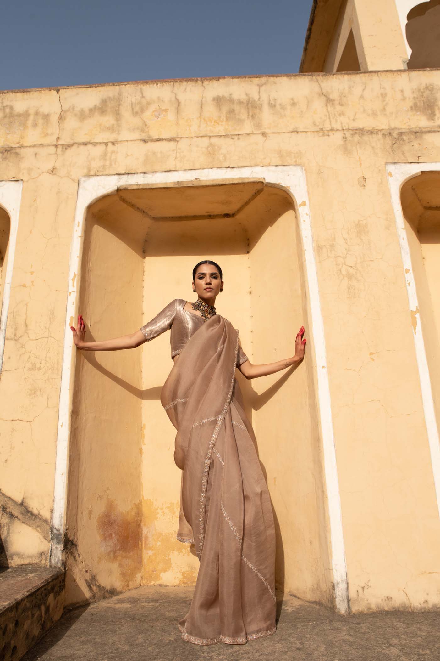 Sand-Beige Hand-Embroidered Pure Silk-Organza Saree With Pure Brocade Blouse Set