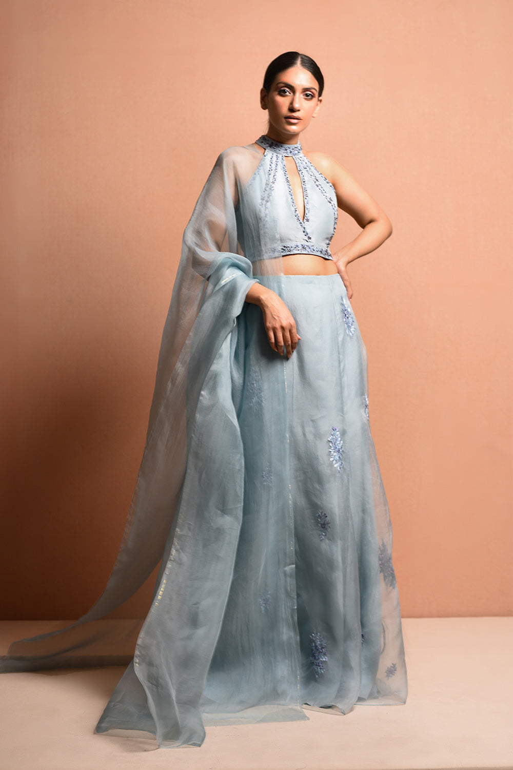 Flowral Mist Saree Gown Features Seprate Silk Dupion Halter Blouse - Auraya Fashion - Vivek Patel - #tag1# - #tag2# - #tag3# - #tag3#